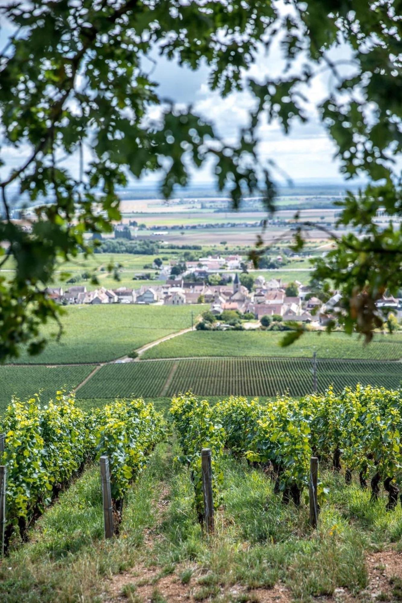 Le Richebourg Hotel, Restaurant & Spa Vosne-Romanée Exteriér fotografie